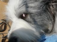 Iv'e got my eye on you